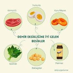 B12 vitamini açısından zengin besinler: ciğer, deniz ürünleri, et, yumurta, süt ürünleri