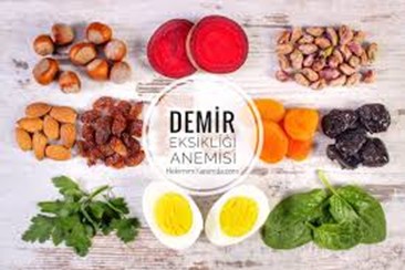 B12 vitamini açısından zengin besinler: ciğer, deniz ürünleri, et, yumurta, süt ürünleri